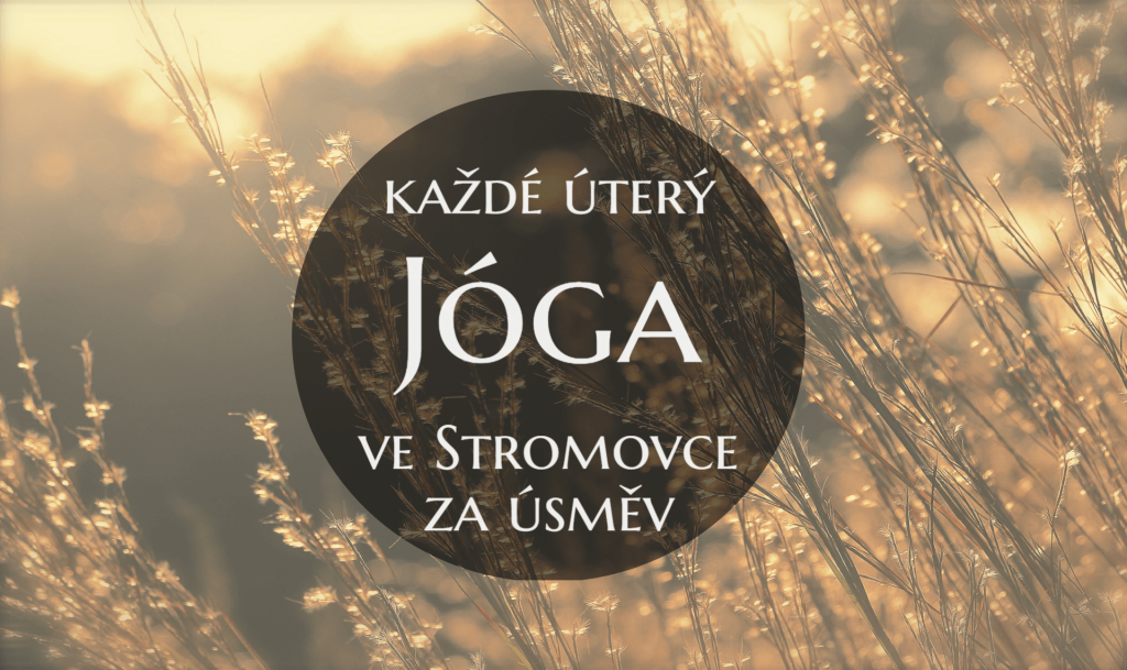 jóga-ve-Stromovce-zdarma
